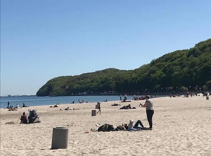 Centrum Msciwoja דירה